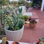 Villa Sole *
