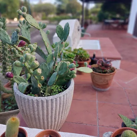 Villa Sole *